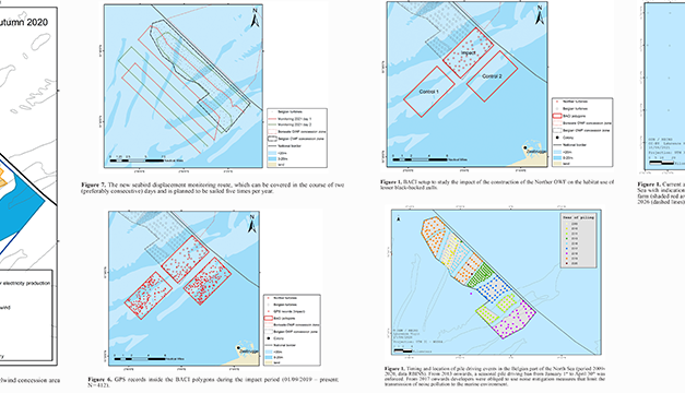 ENVIRONMENTAL IMPACTS OF OFFSHORE WIND FARMS IN THE BELGIAN PART OF THE NORTH SEA édition 2021