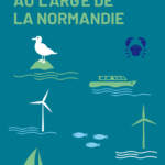 Parc éolien en mer au large de la Normandie (A04) : La CRE publie son avis sur le projet de cahier des charges