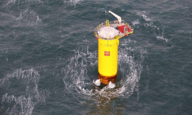 Hollandse Kust Zuid : Les fondations des turbines offrent-elles de nouveaux lieux de vie ?