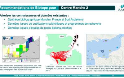 Parcs éoliens en mer en Manche : « Les données existent » rappelle Biotope !