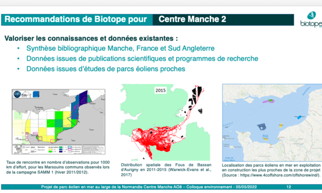 Parcs éoliens en mer en Manche : « Les données existent » rappelle Biotope !