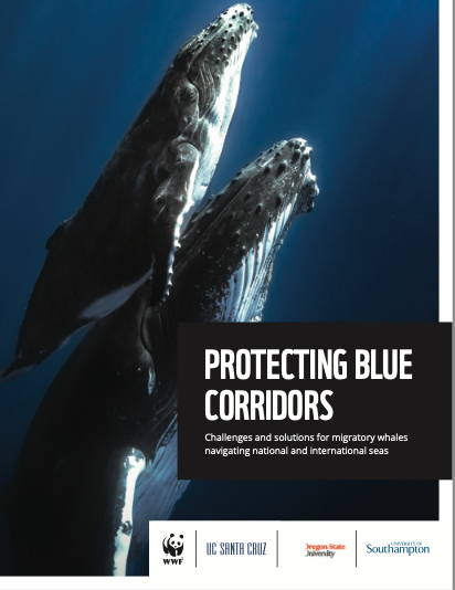 Protéger les corridors bleus : Un nouveau rapport collaboratif du WWF