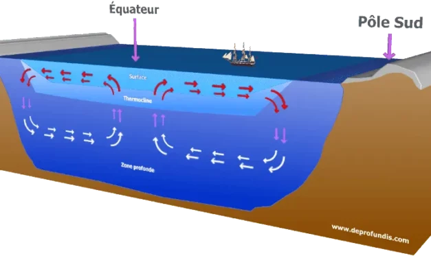 Le Swac : une technologie à nouveau en devenir ?