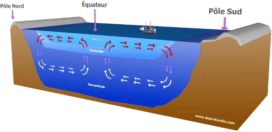 Le Swac : une technologie à nouveau en devenir ?