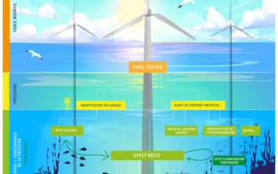 J-2 pour la conférence « ENVIRONNEMENT » de la concertation préalable