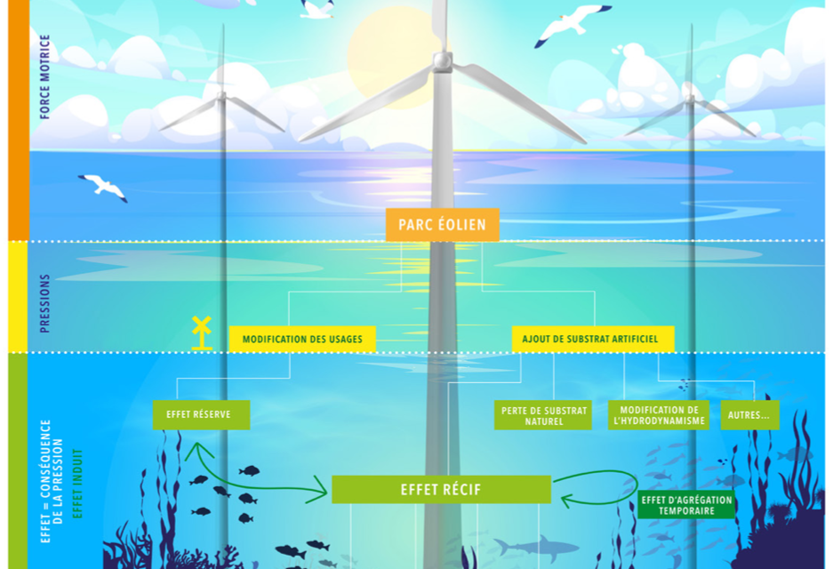 J-2 pour la conférence « ENVIRONNEMENT » de la concertation préalable