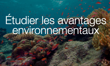 Nouvelle étude du  Crown Estate et du programme Dutch Rich North Sea : l&rsquo;éolien offshore vise à générer un gain net pour la biodiversité marine