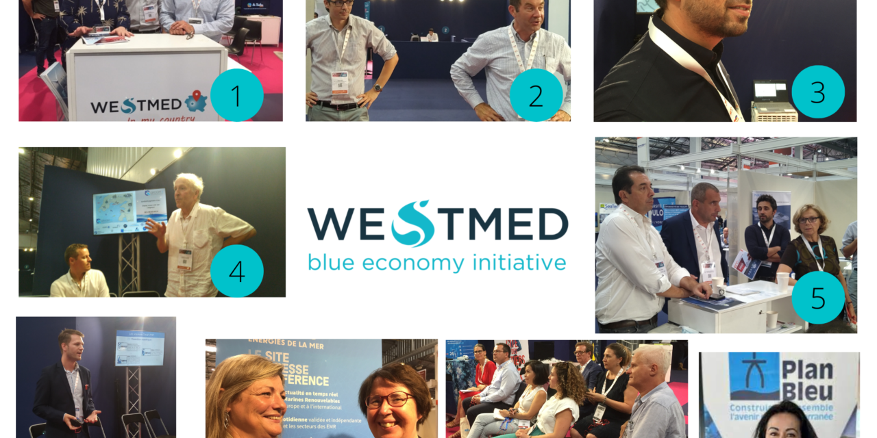 L&rsquo;inventaire des 55 sites de décharges littorales françaises est en ligne, les actions du Cerema et du BRGM