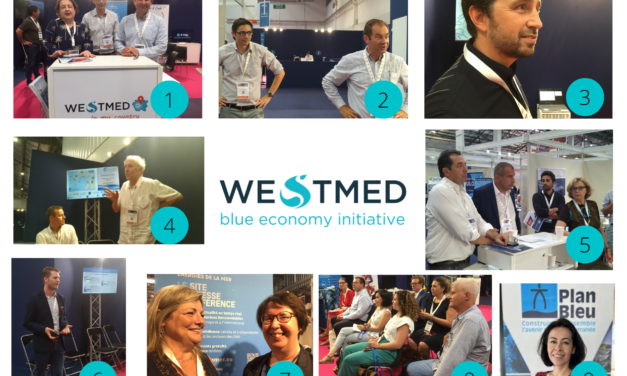 L&rsquo;inventaire des 55 sites de décharges littorales françaises est en ligne, les actions du Cerema et du BRGM