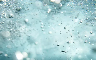 Siemens Energy et Air Liquide se lancent dans la production en série d’électrolyseurs d’hydrogène renouvelable