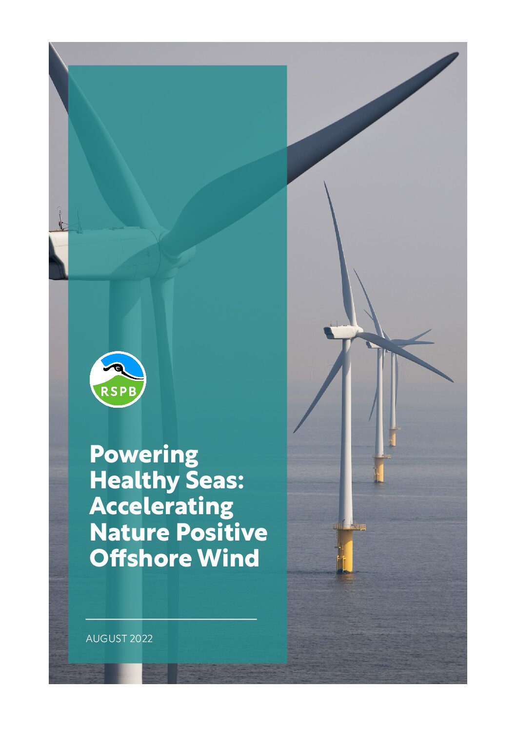 Le Rapport de la « Royal Society for the Protection of Birds (RSPB)