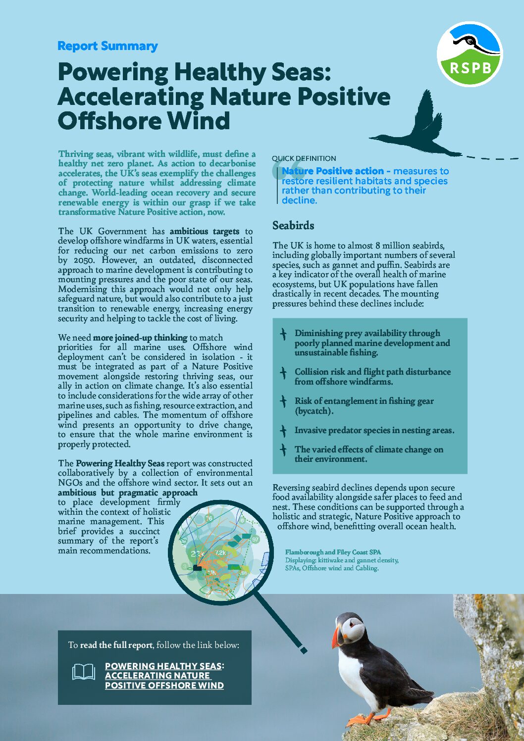 Comment préserver les oiseaux marins avec l’éolien en mer ?