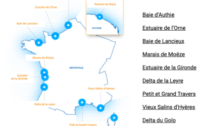Environnement : le projet Adapto