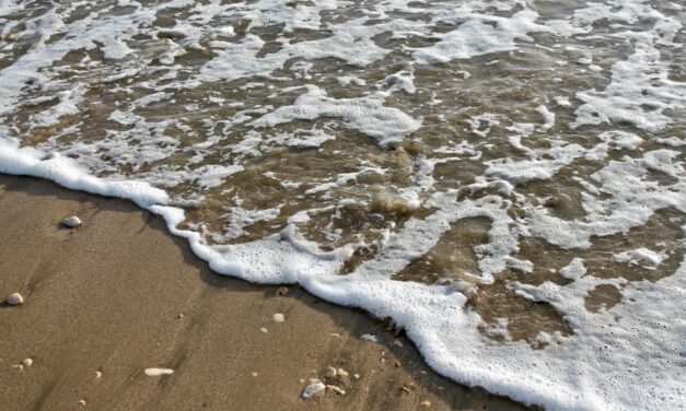 En France, il ne peut pas être établi de lien entre l’extraction en mer et l’évolution du trait de côte