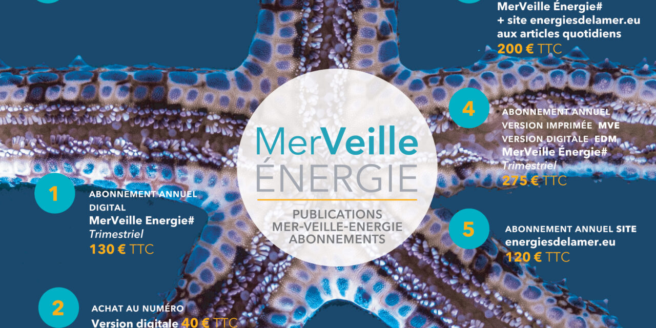 Abonnements à energiesdelamer.eu : Pour un accès complet aux articles