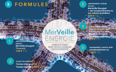 Abonnements à energiesdelamer.eu : Pour un accès complet aux articles