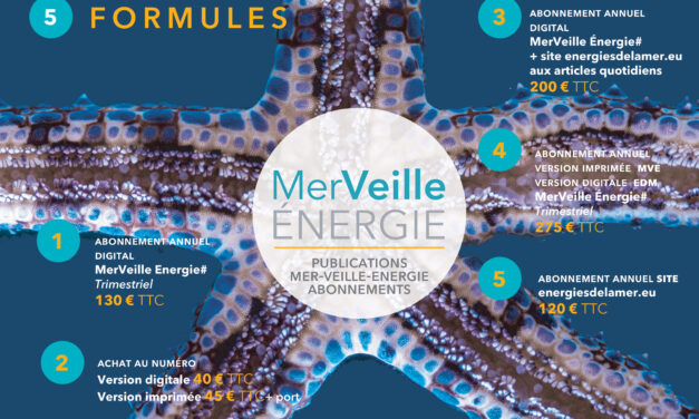 Abonnements à energiesdelamer.eu : Pour un accès complet aux articles