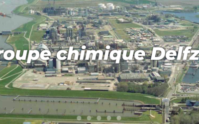 Hydrogène : Lhyfe va développer une usine de 200 MW à Delfzijl