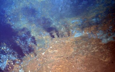 Fonds marins : Des amas sulfurés seraient actifs dans d&rsquo;anciennes sources hydrothermales