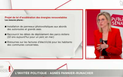 Le projet de loi d’accélération des énergies renouvelables est voté en première lecture au Sénat
