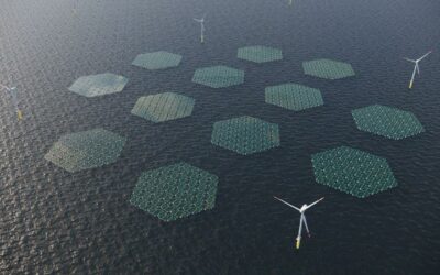 Du mix énergétique proposé par le lauréat RWE pour Hollandse Kust West (HKW) VII