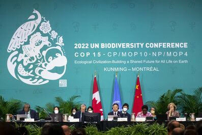 COP 15 – Chine Montréal – Accord historique après des mois de pessimisme