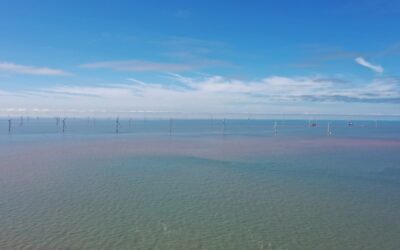 Environnement, protection du littoral et éolien en mer, un savant mélange réalisé dans le Jiangsu