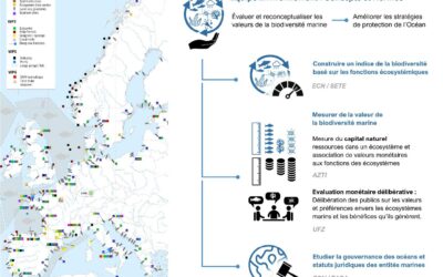 Les sciences sociales pour révéler la valeur des écosystèmes marins