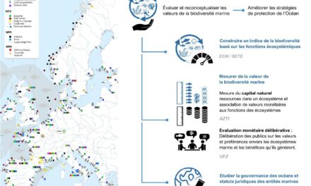 Les sciences sociales pour révéler la valeur des écosystèmes marins