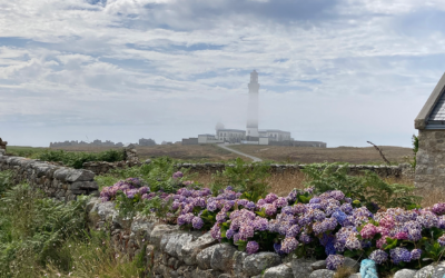 Iles : véritable livre enquête sur l&rsquo;insularité coordonné par Louis Brigand