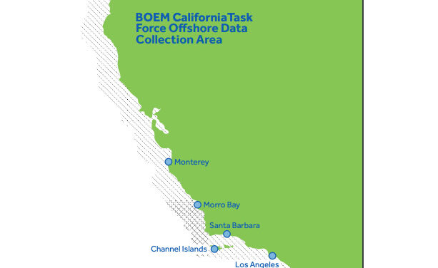 Californie : 402 millions de dollars pour le premier tour des enchères