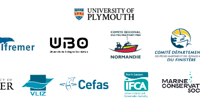 Comment les poissons et crustacés fréquentent-ils les parcs éoliens en mer ?