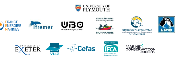 Comment les poissons et crustacés fréquentent-ils les parcs éoliens en mer ?