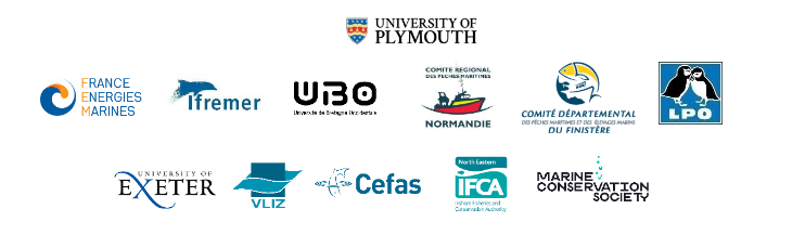 Comment les poissons et crustacés fréquentent-ils les parcs éoliens en mer ?