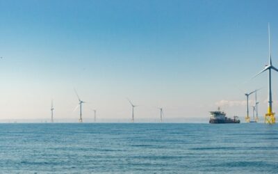 Vattenfall révèle le comportement d’évitement des oiseaux marins aux abords de son parc éolien en mer d’Aberdeen