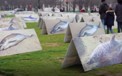 Le port de maintenance du parc en mer de Saint-Nazaire pris dans les filets d’une négociation