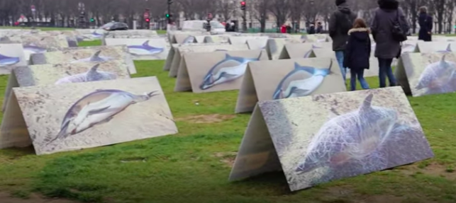 Le port de maintenance du parc en mer de Saint-Nazaire pris dans les filets d’une négociation