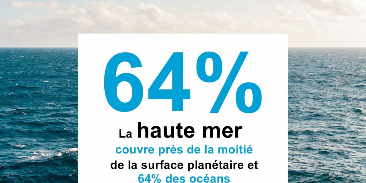 Le traité international pour protéger la haute mer franchit la barre des 60 signatures