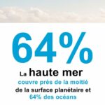 Le traité international pour protéger la haute mer franchit la barre des 60 signatures