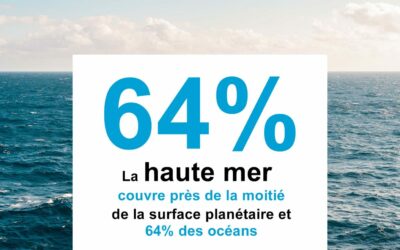 Le traité international pour protéger la haute mer franchit la barre des 60 signatures