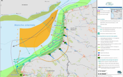 « Éoliennes en Mer de Dieppe Le Tréport » annonce de la décision finale d’investissement