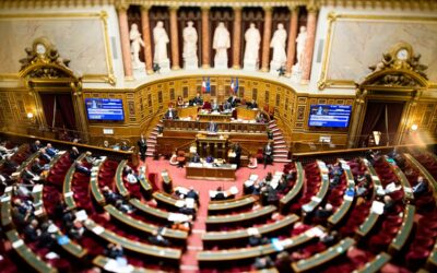La PPE doit être votée par les parlementaires : Lettre ouverte à François Bayrou