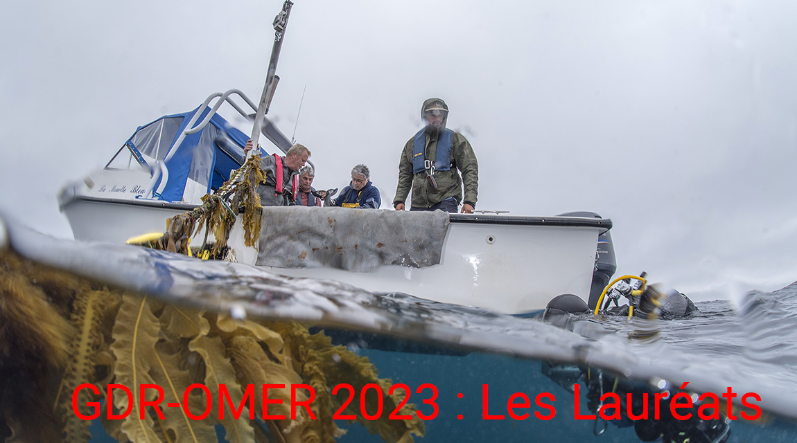 Laureats AO contrats doctoraux OMER 2023