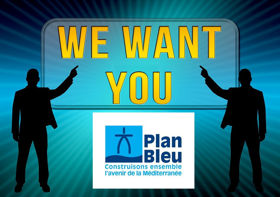 Offre d’emploi : Directeur du Plan Bleu pour l’environnement et le développement en Méditerranée