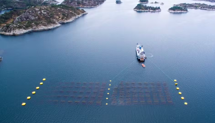 Partenariat pour évaluer la co-localisation des fermes d’algues aux côtés des parcs éoliens