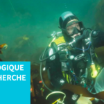 Recrutement d’un directeur ou d’une directrice pour la Station Biologique de Roscoff