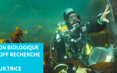 Recrutement d’un directeur ou d’une directrice pour la Station Biologique de Roscoff