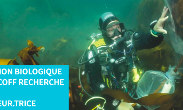 Recrutement d’un directeur ou d’une directrice pour la Station Biologique de Roscoff