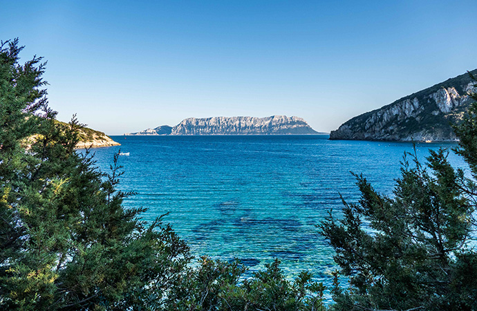 Écosystèmes marins des façades maritimes françaises : une revue rapide par le Cerema des « solutions possibles » pour minimiser les impacts environnementaux