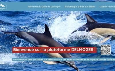Comment limiter les captures accidentelles de dauphins ? Concertation citoyenne lancée dans le cadre du projet Delmoges – 1